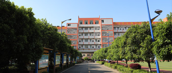 学校新闻